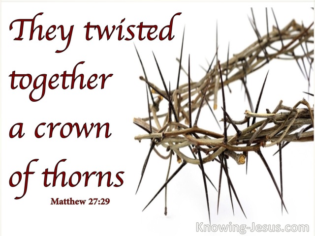 Matthew 27:29 They Twisted Together A Crown Of Thorns (white)